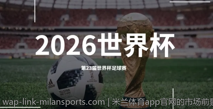 米兰体育app官网的市场前景探讨